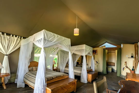 Kibo Safari Camp Tent